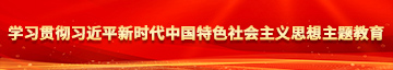 美女日屄网站学习贯彻习近平新时代中国特色社会主义思想主题教育